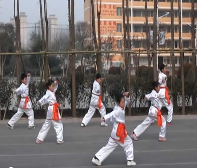 安徽省蒙城三小四年级演练少林五形八法拳32式