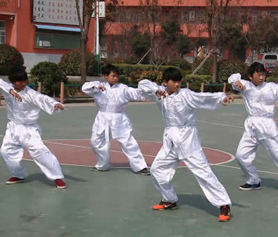 安徽省蒙城许町中学演练少林五形八法拳32式